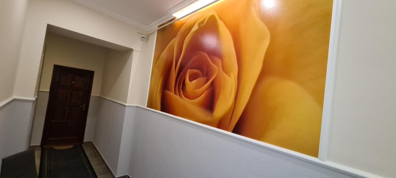Rozsa Apartmanhaz แซแก็ด ภายนอก รูปภาพ